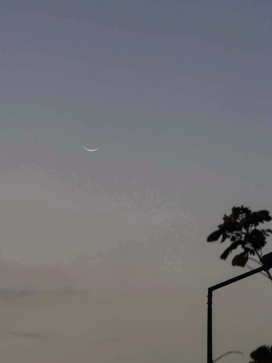 mohaimen tweet media