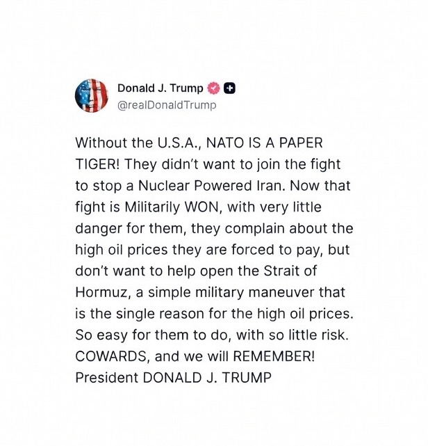 CryptoGoos tweet media