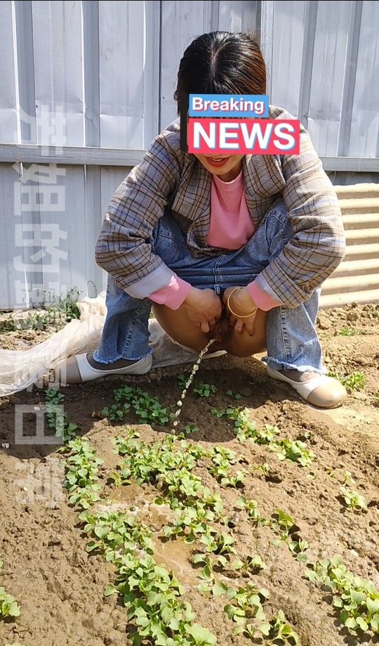 芳姐的露露日常 tweet media