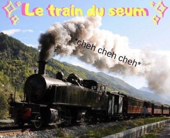 Darmachien de la casse tweet media