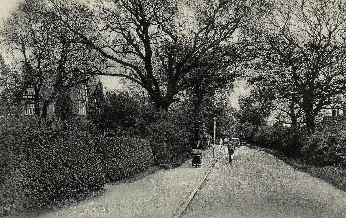 Solihull Updates tweet media