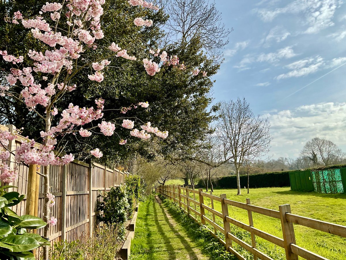 Barbara Fowlds tweet media