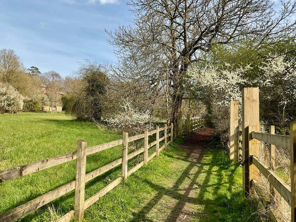 Barbara Fowlds tweet media