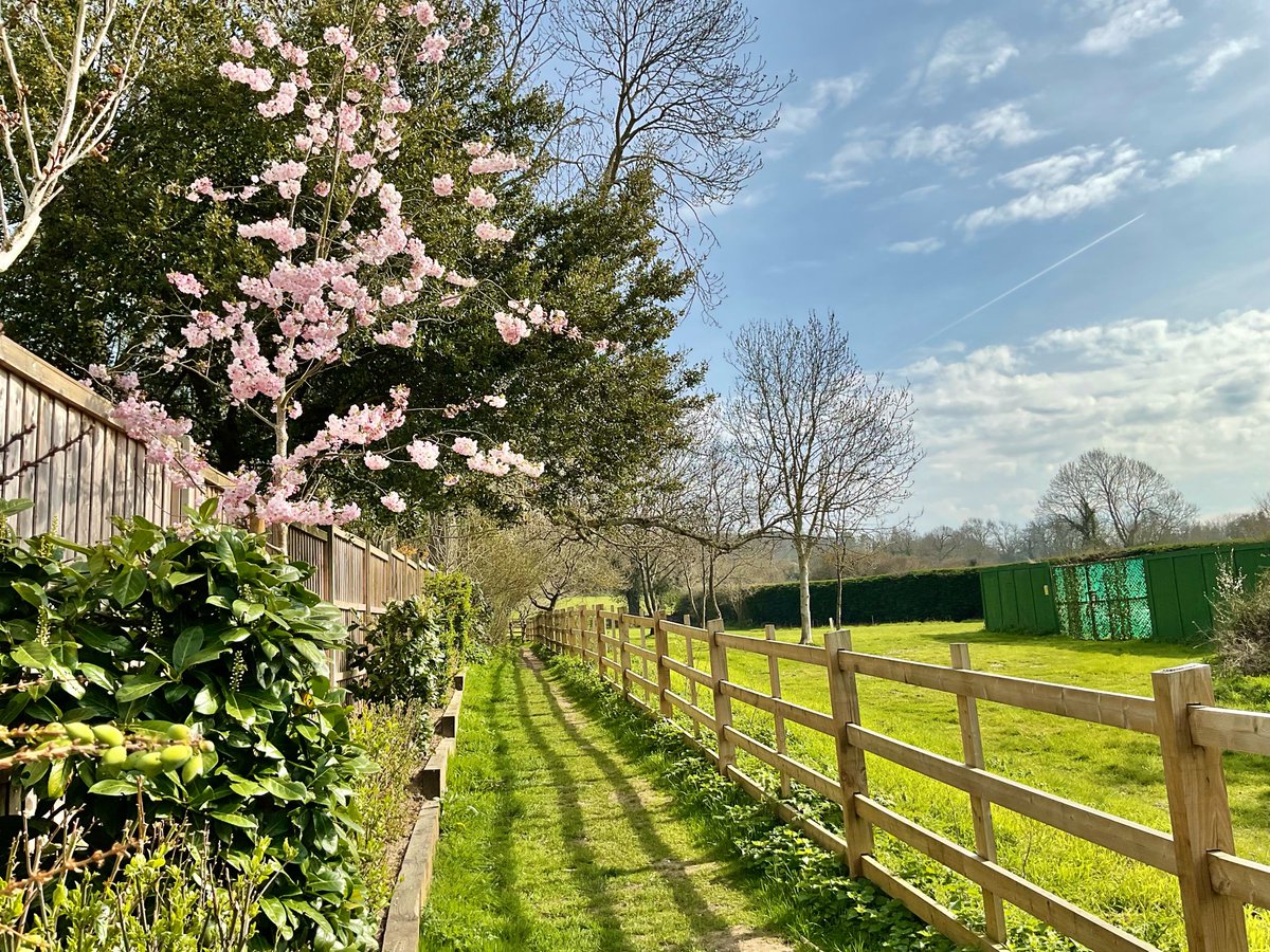 Barbara Fowlds tweet media