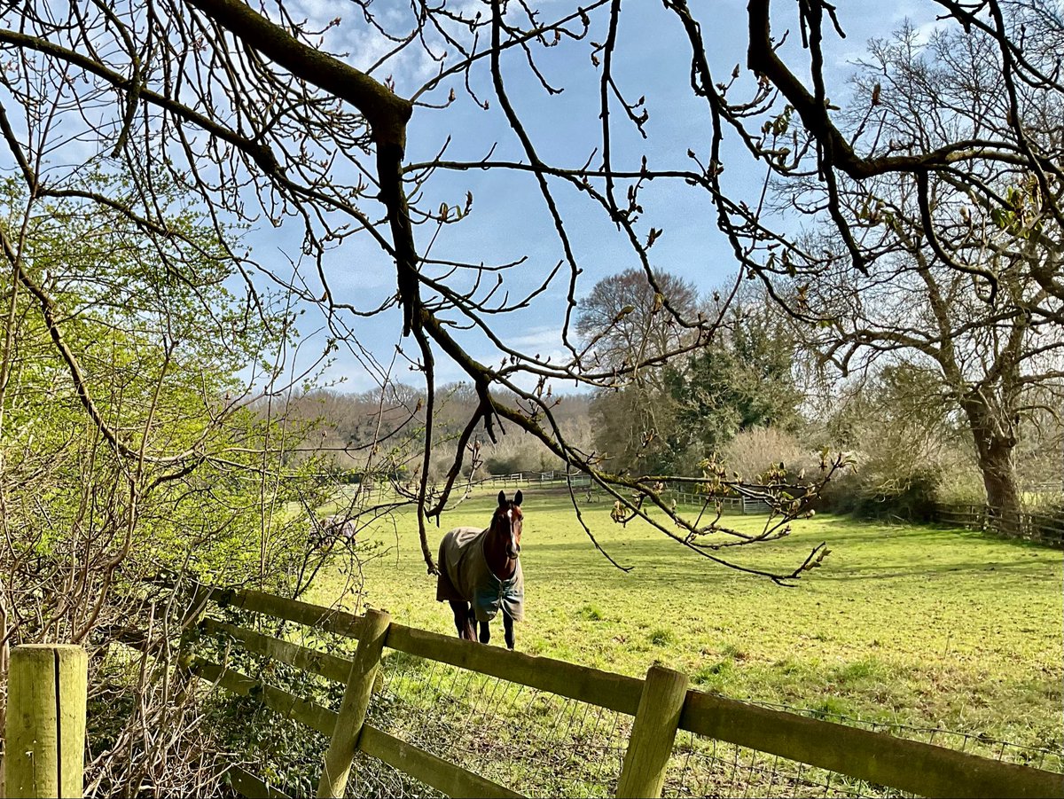 Barbara Fowlds tweet media