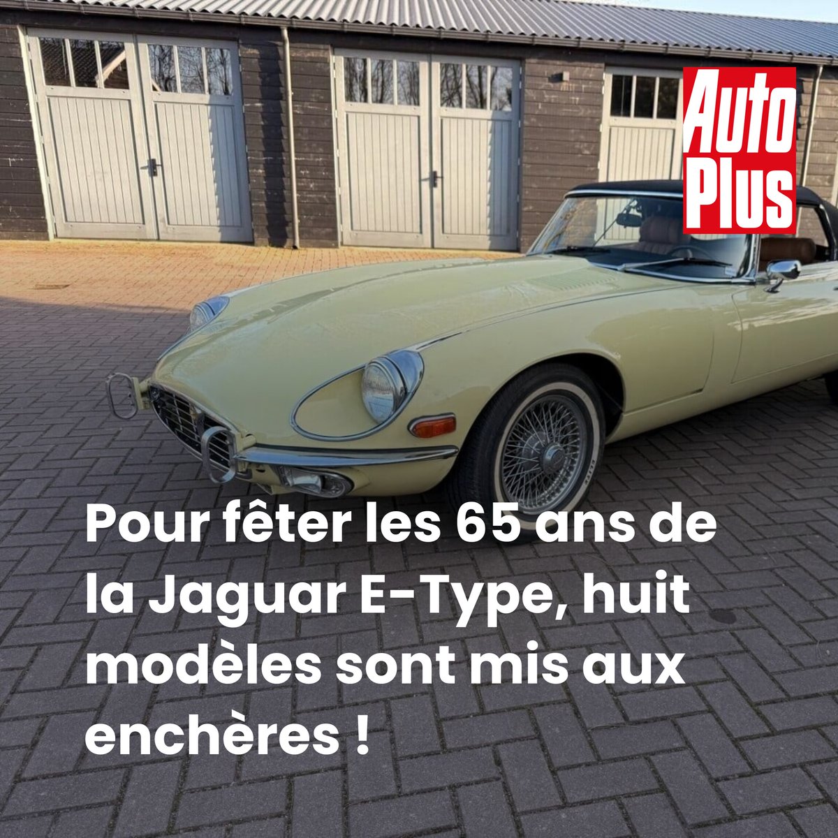 AutoPlus tweet media