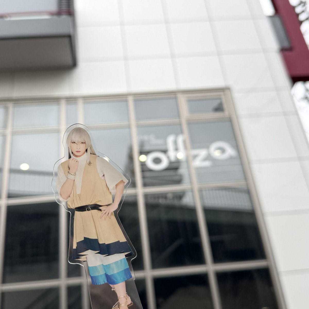 椿 tweet media
