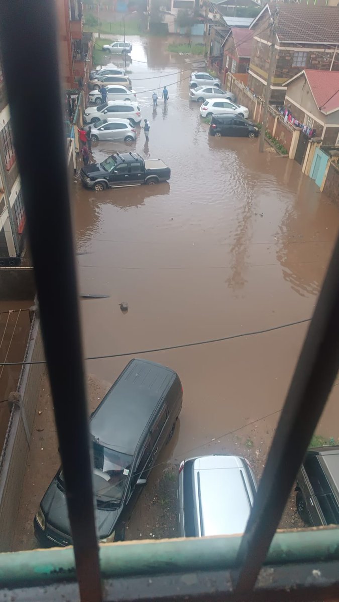 Mr.Reliable tweet media