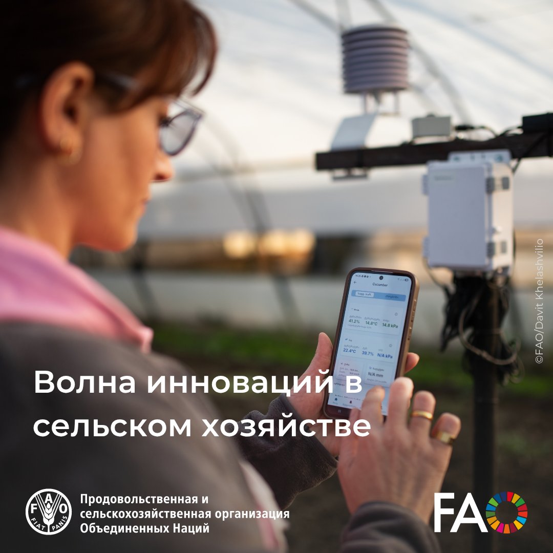 ФАО на русском tweet media