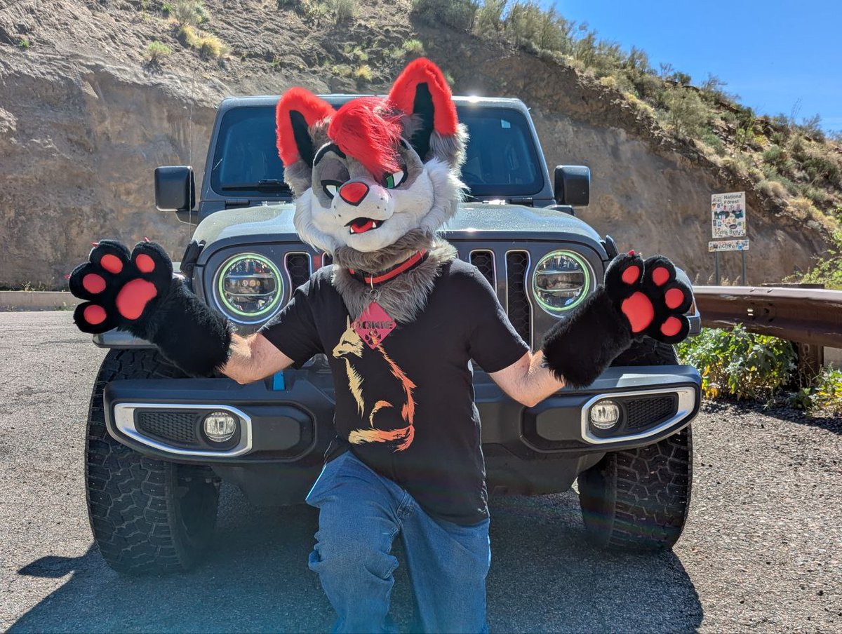 NokieMissions's tweet photo. Just a fox, doing some fox things.  <^.^>

#FursuitFriday #furryfandom #furries #fursuits #fursuiters #DailyDHC https://t.co/h64avZ6w54