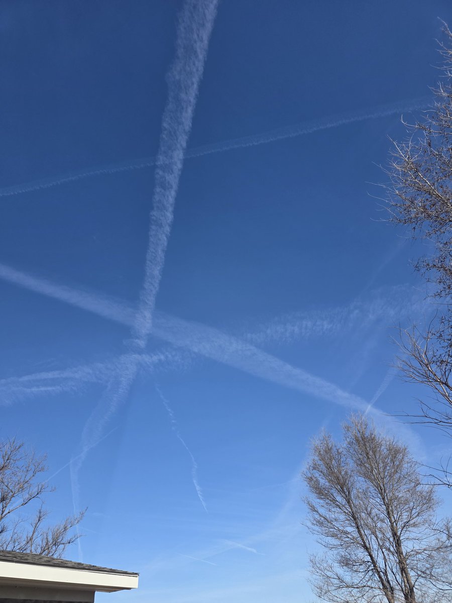 WeSeeYou tweet media