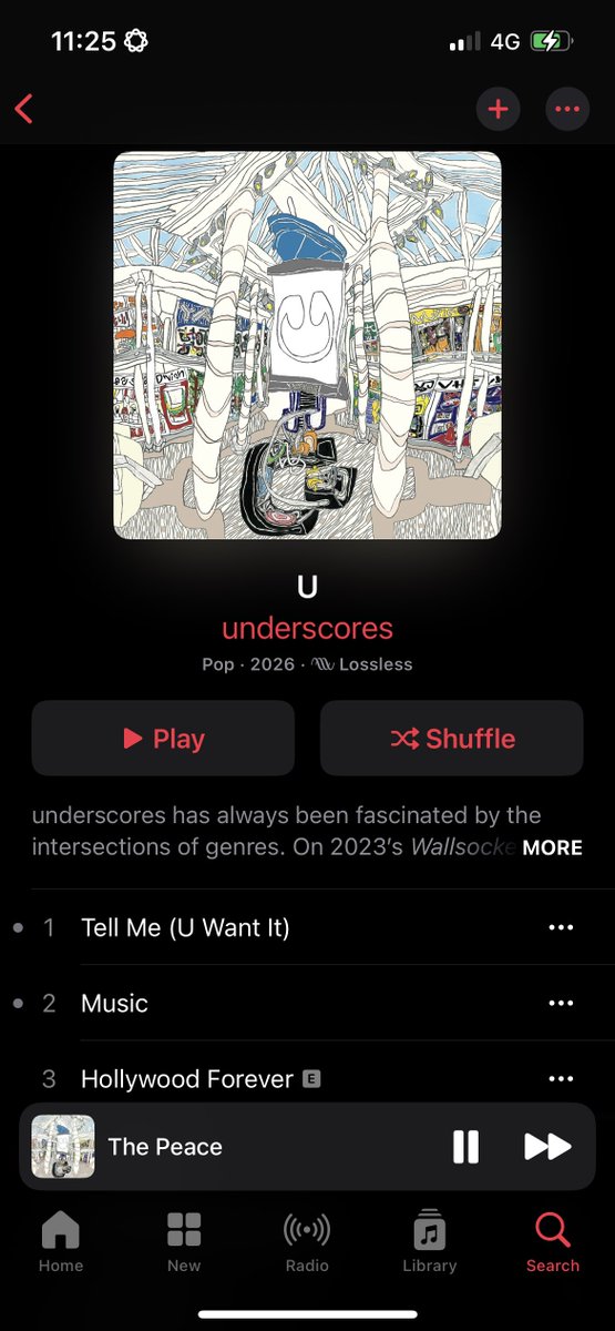 casey becker tweet media