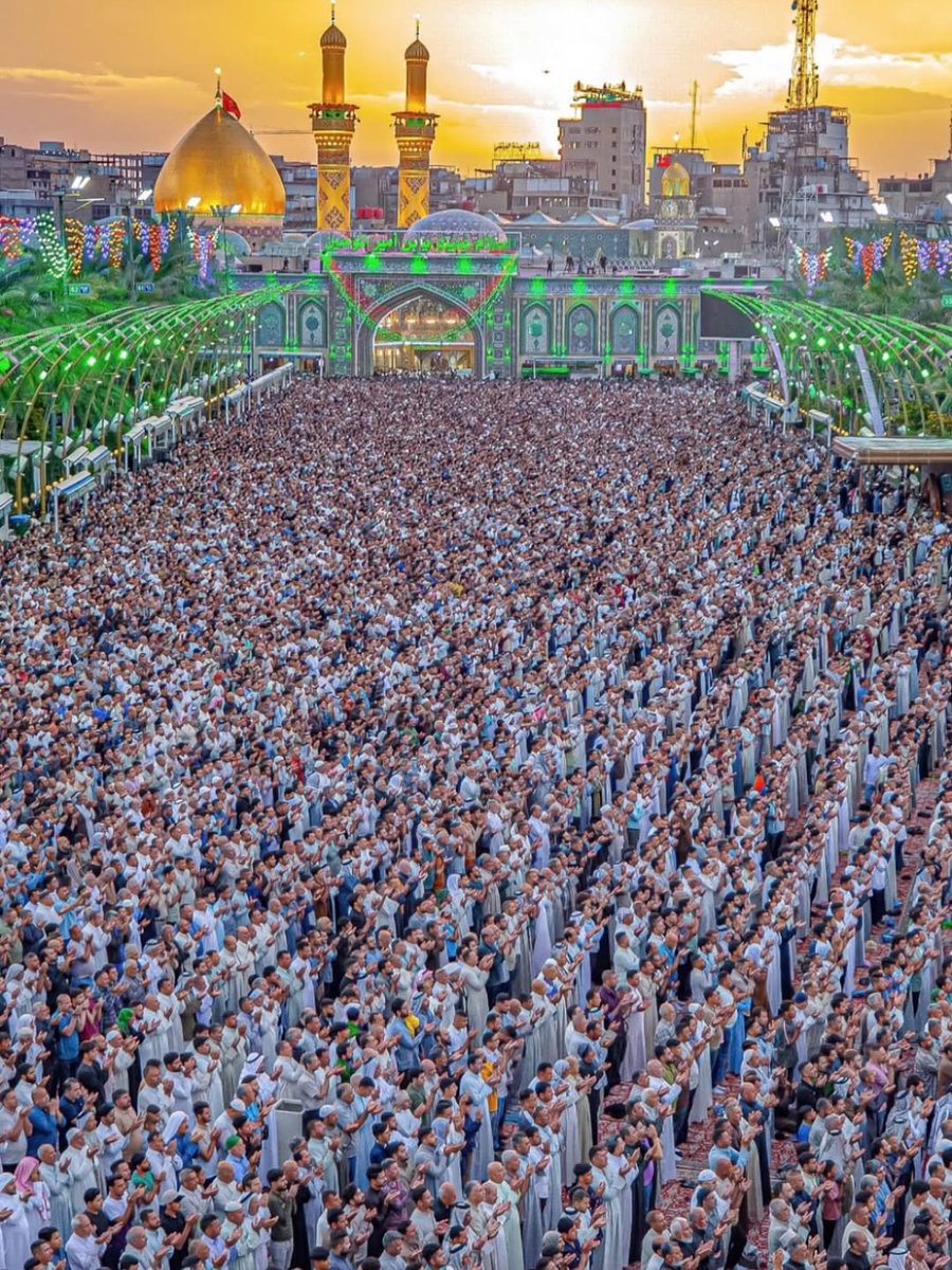 Shia Visuals tweet media