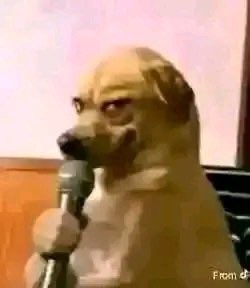 takadinie tweet media