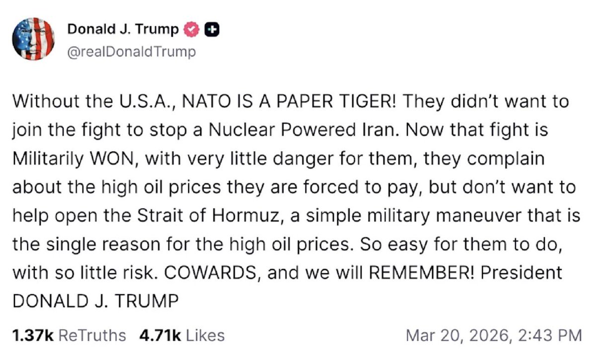 malca goldstein-wolf tweet media