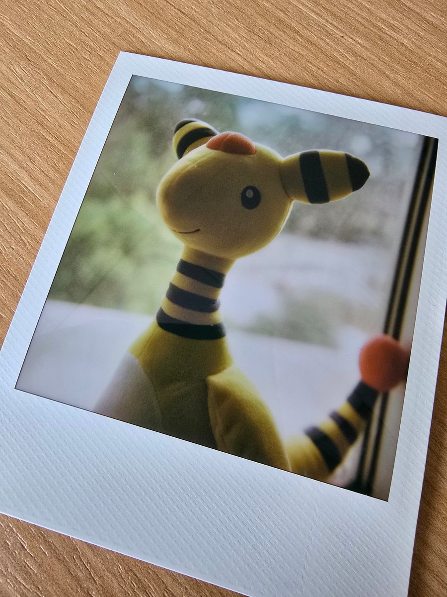 Dillon Thomas tweet media