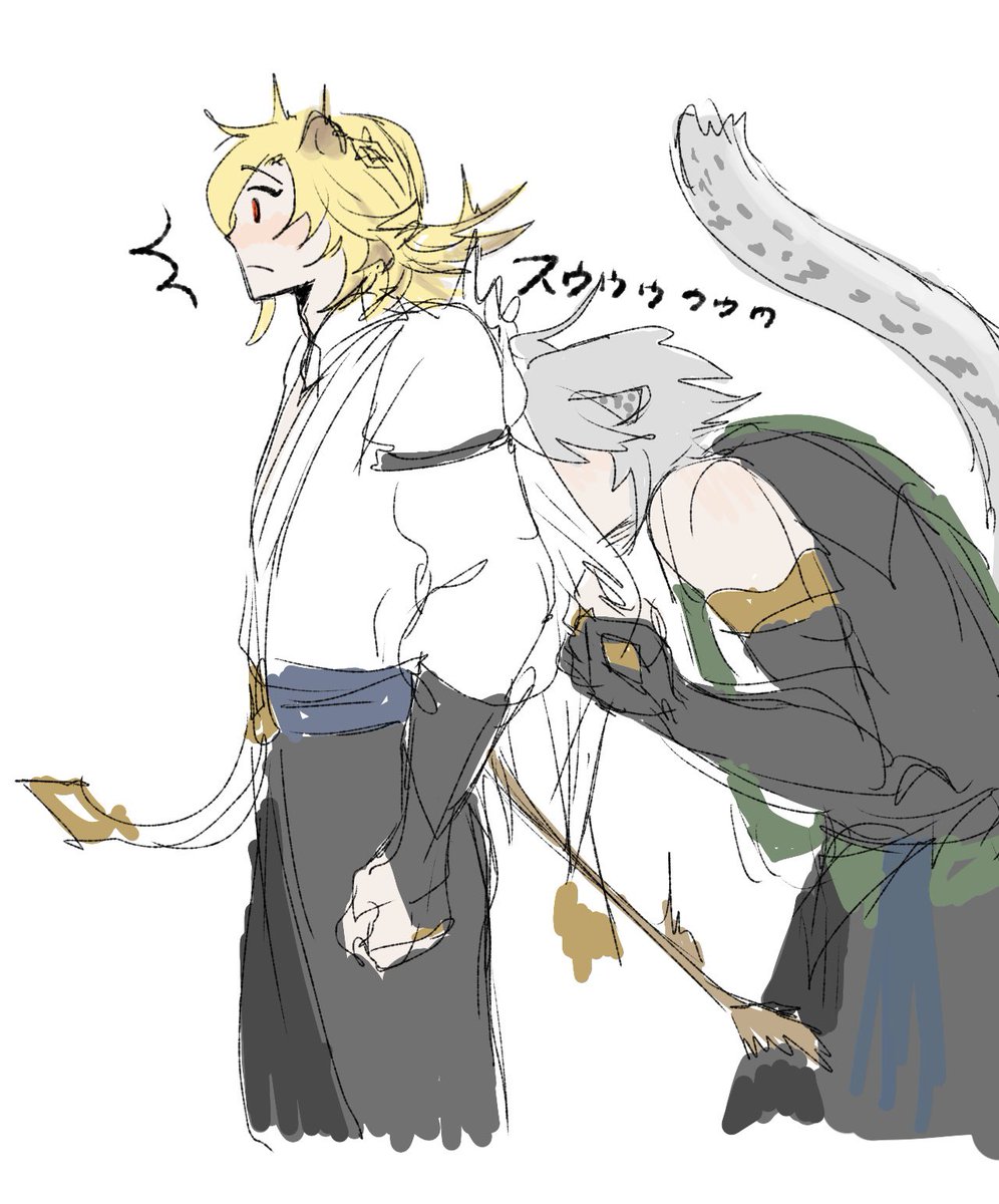 ネコゼ tweet media