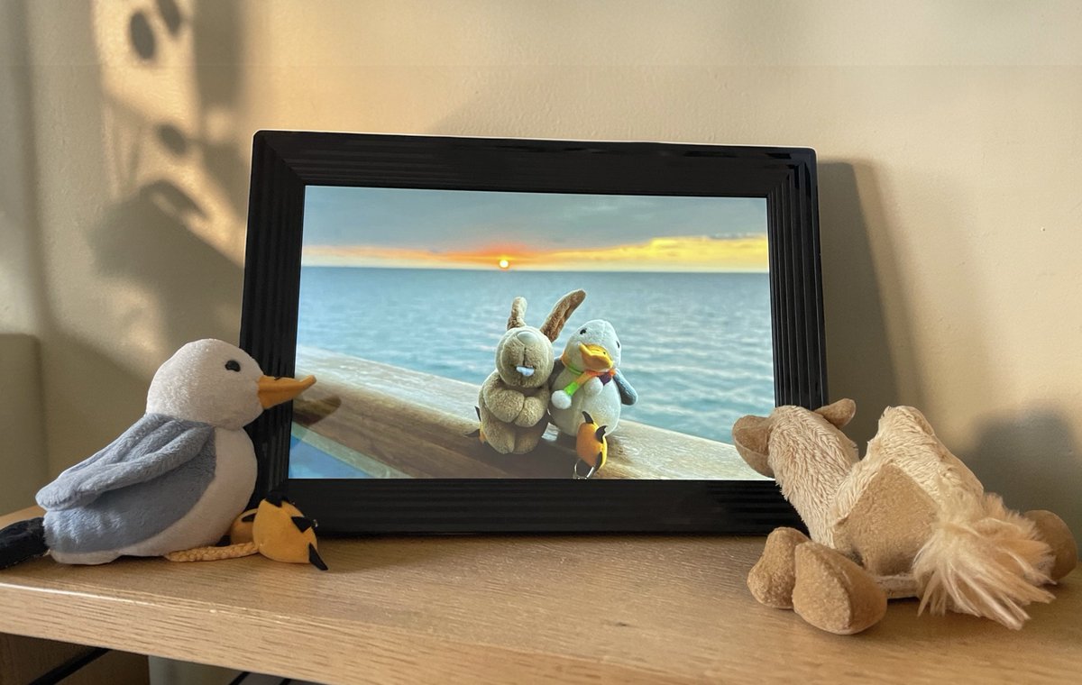 MonaMöwe, die Plüschbande🐪🐑🦀🐑und Gäste tweet media