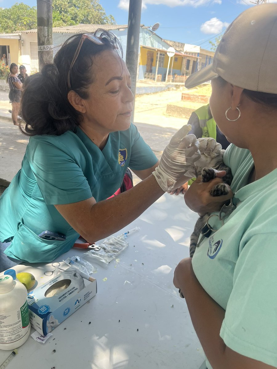 Alcaldía de Galapa tweet media