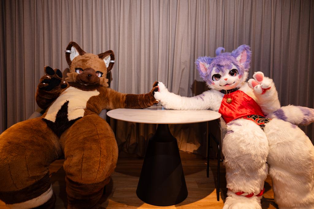 焦糖薩摩耶🐾 UTFG (🐕 tweet media