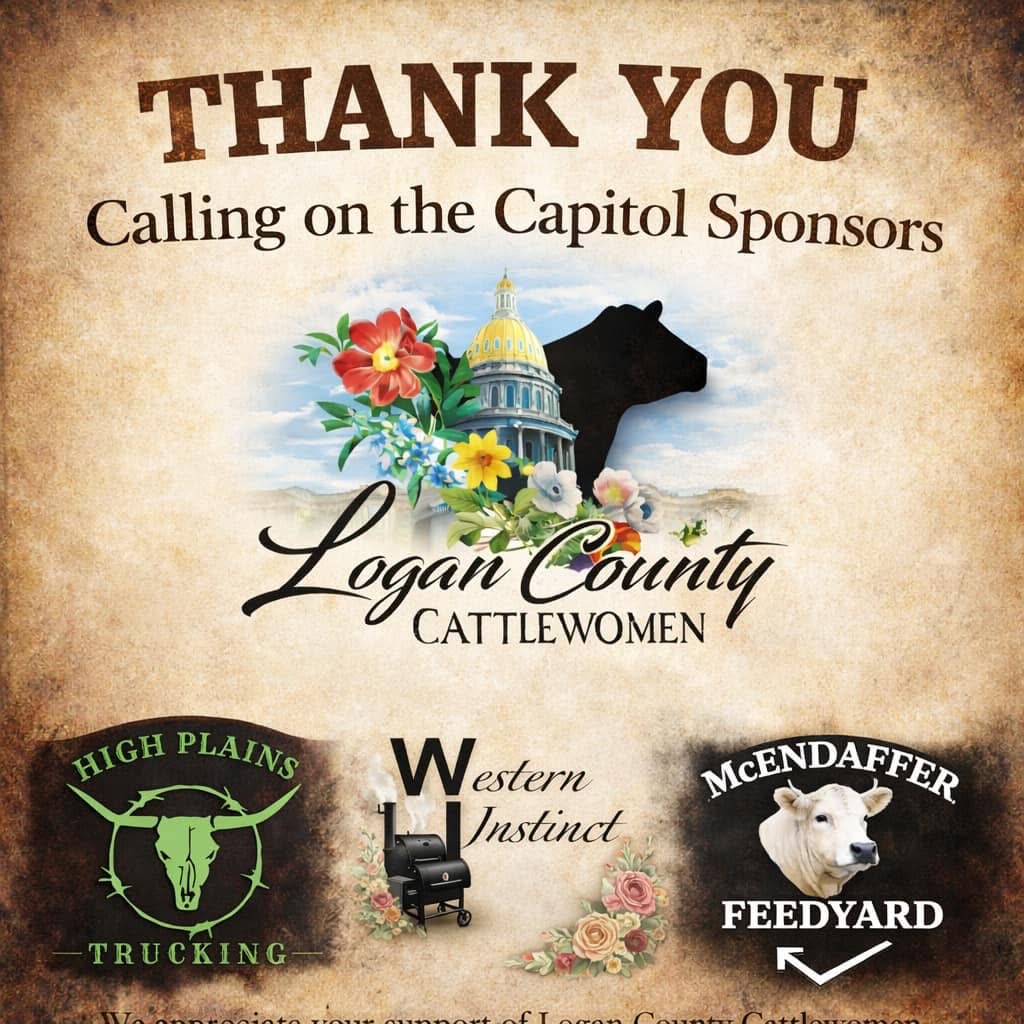 Barb Kirkmeyer for Governor tweet media