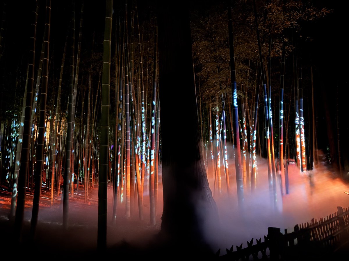 のιﾅ″し tweet media