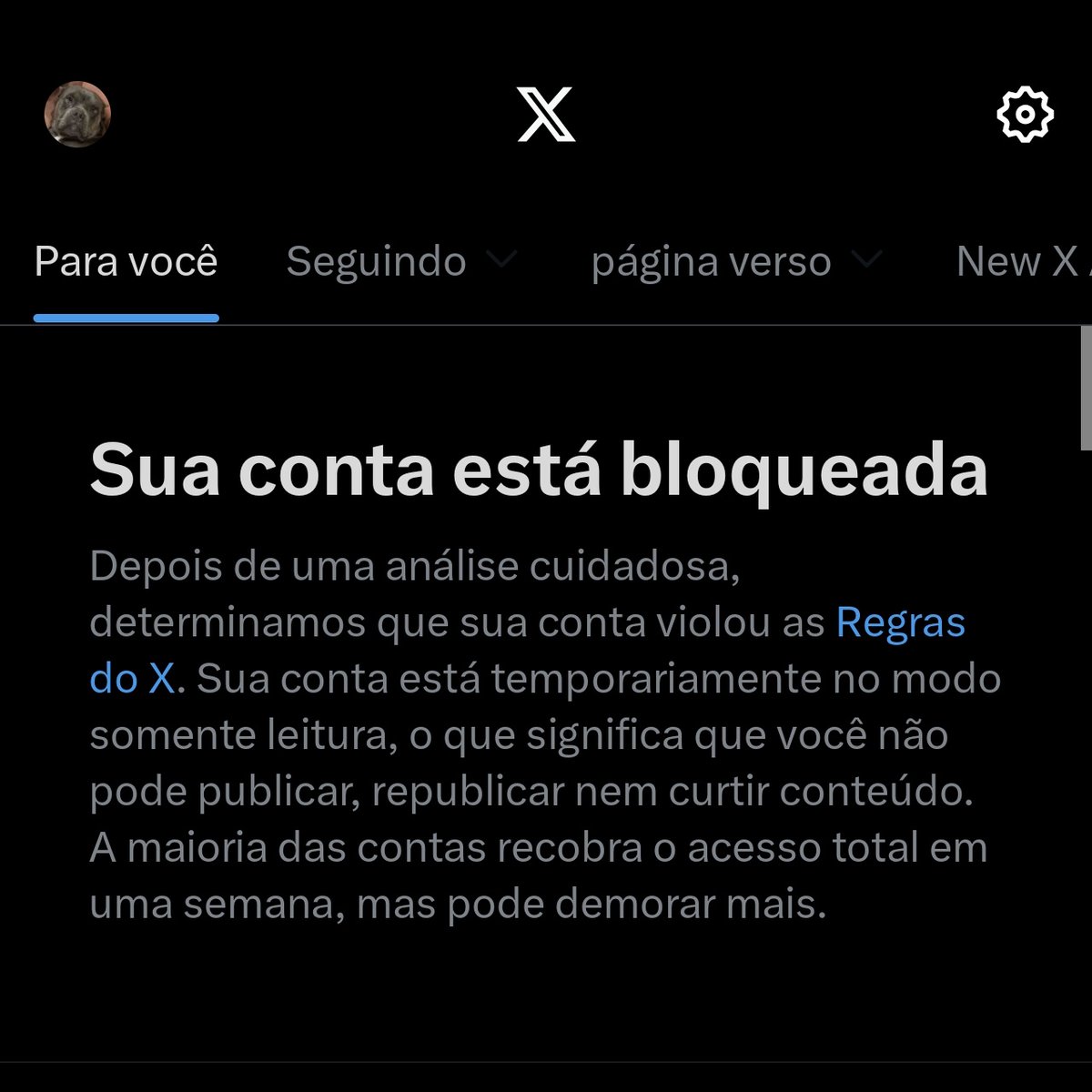 A esquerda sodomita aidética não me deu nem a oportunidade de agradecer 

Para a rasgação de rabo dos esquerdistas, agora somos mais de 2015(meu ano de nascença💔). Gratidão à todos. Na ditadura da extrema direita o cuzinho de nenhum desses seres será poupado