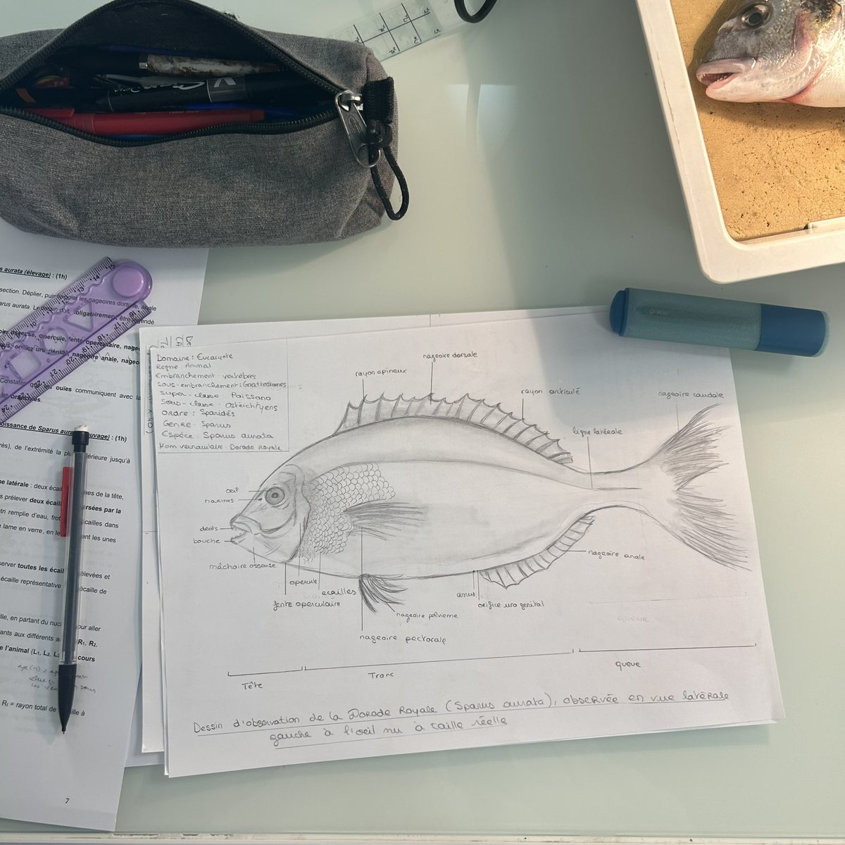 𝐀𝐛𝐬𝐨𝐥𝐮𝐭𝐋𝐢𝐬𝐚.☆ 𓆝 tweet media