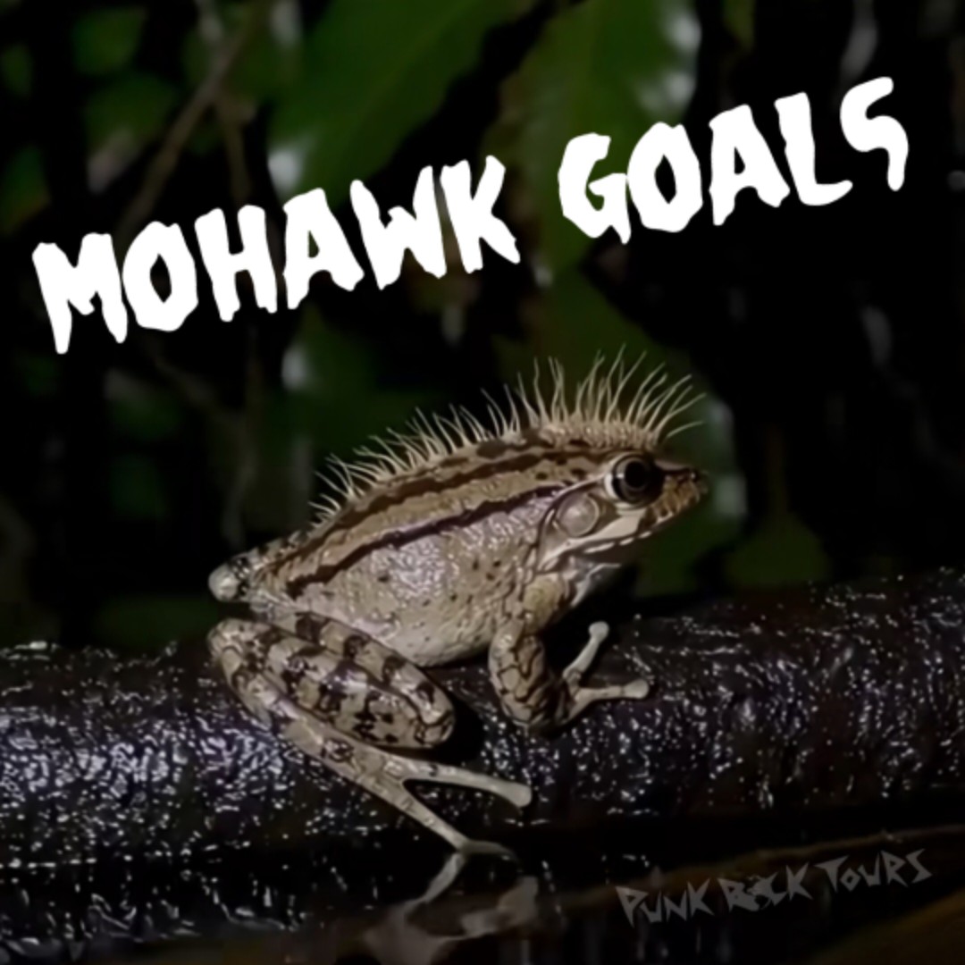 PunkRockTours.com tweet media