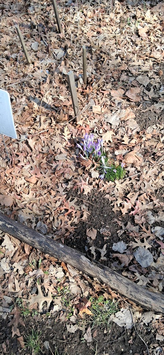 Elkie Six tweet media