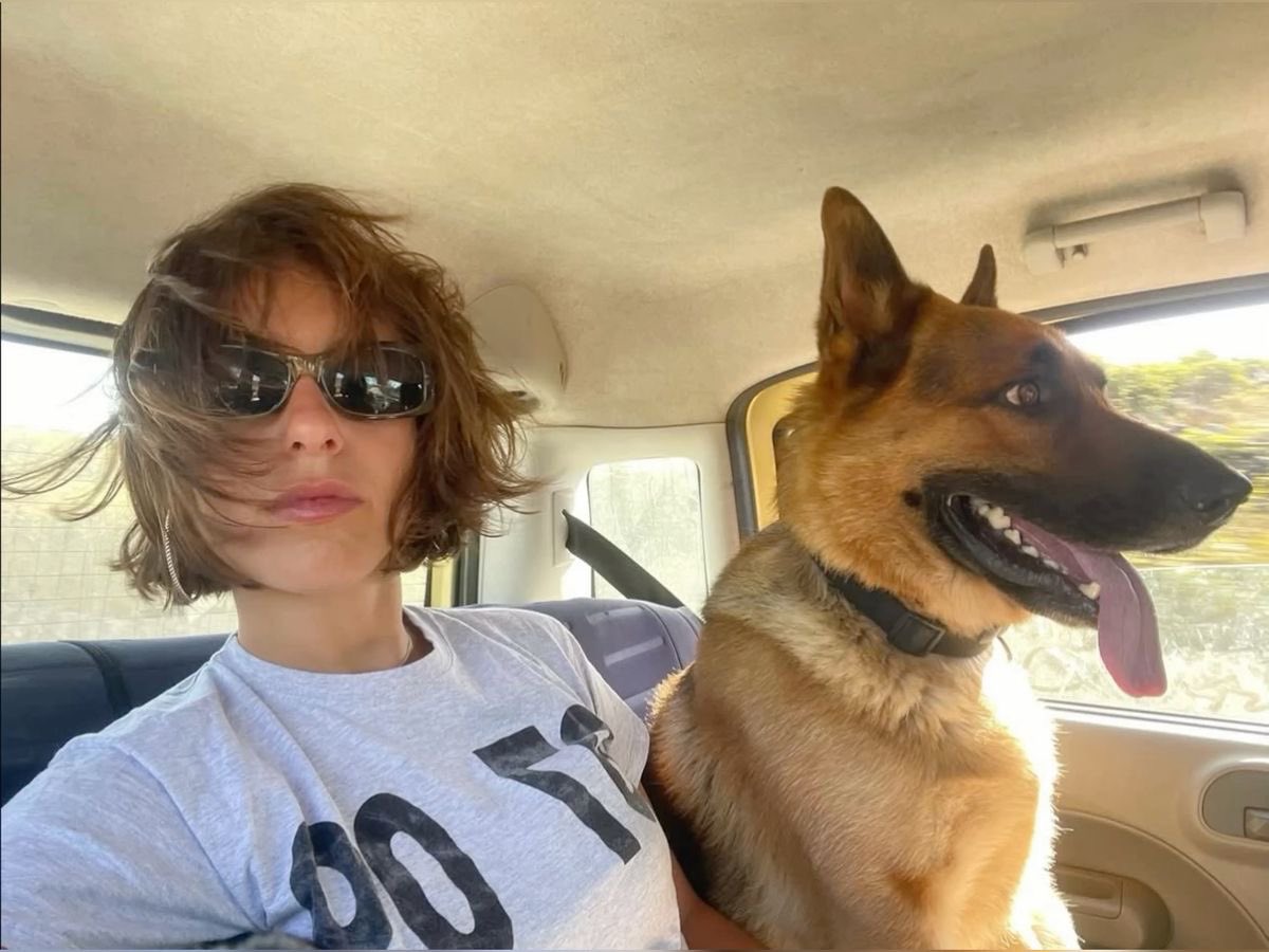 YSL STANDARDS tweet media