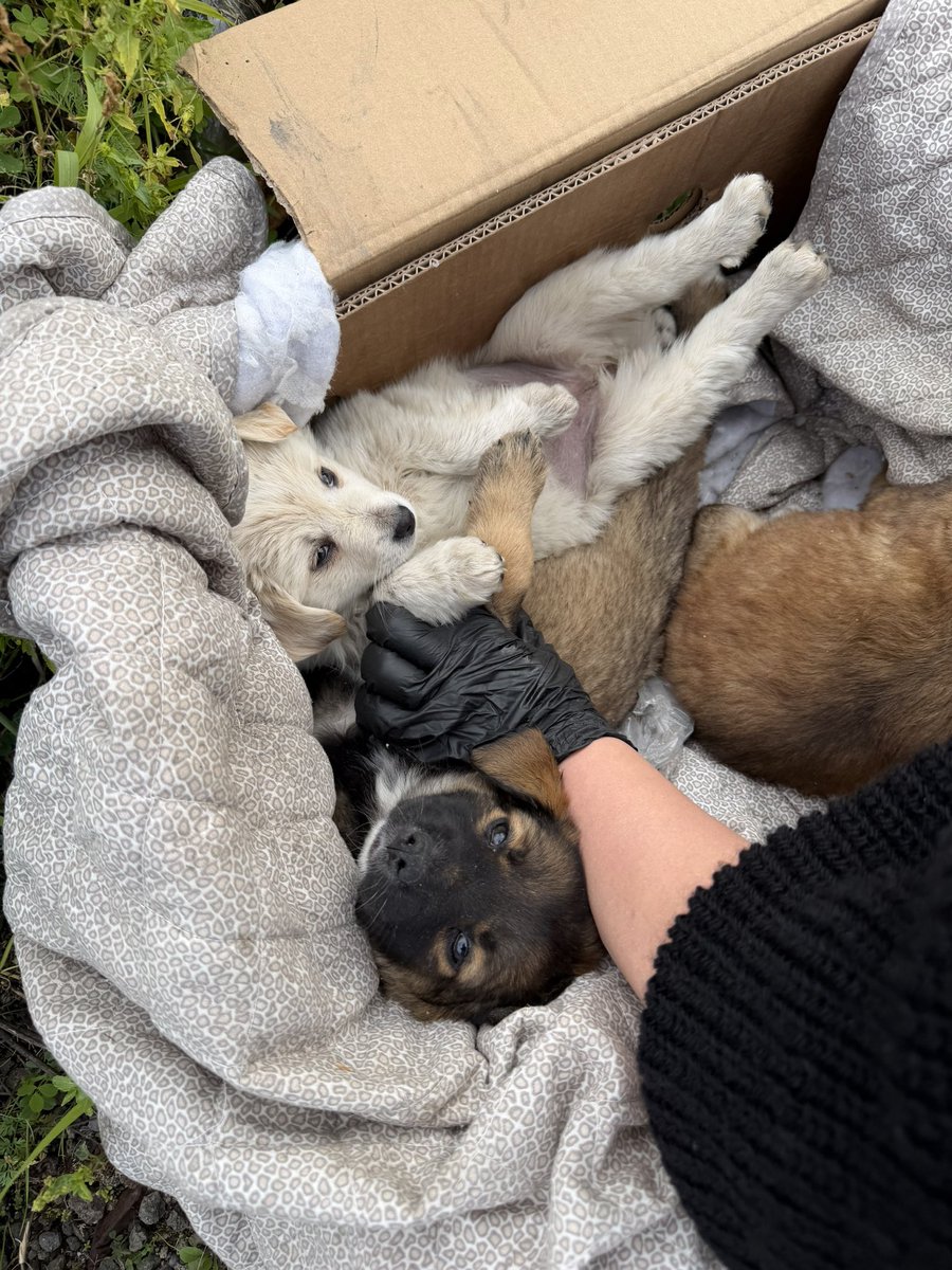 erica ໑̣🇵🇸🎞️ tweet media