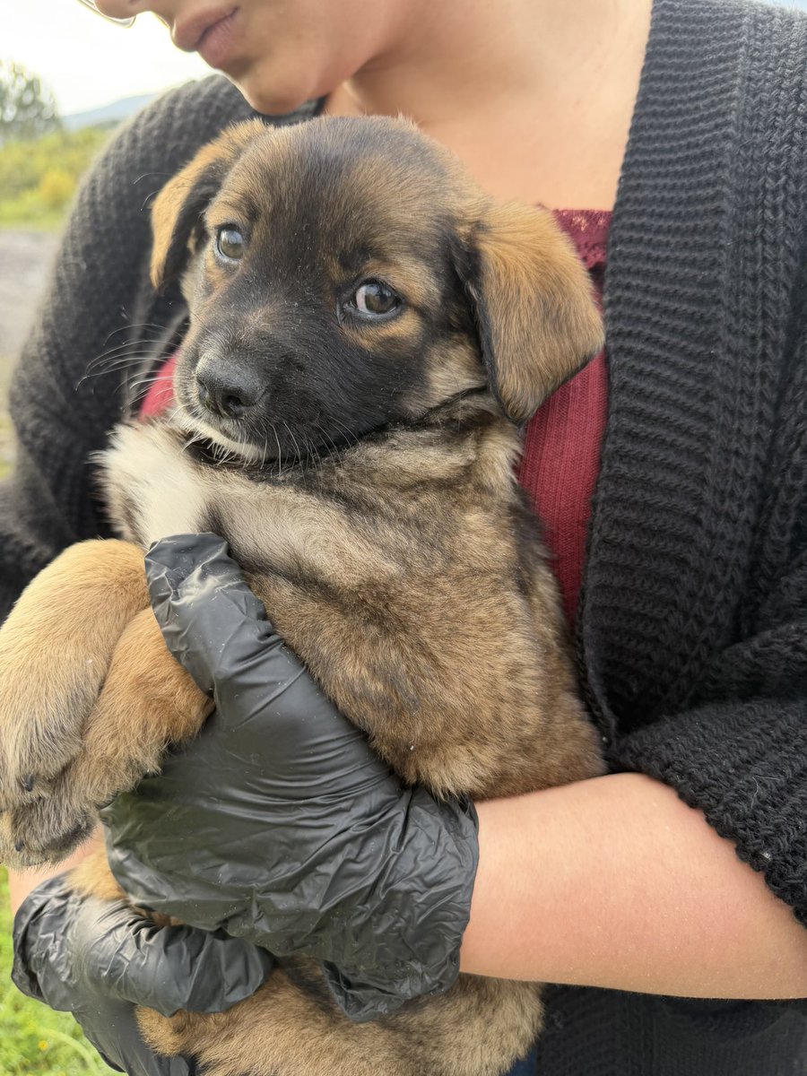 erica ໑̣🇵🇸🎞️ tweet media