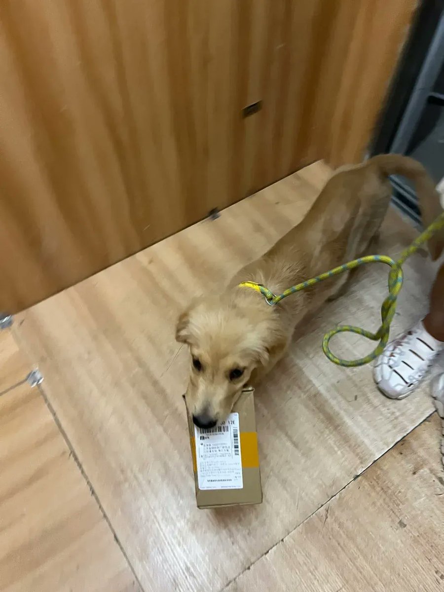 diegobld10 tweet media