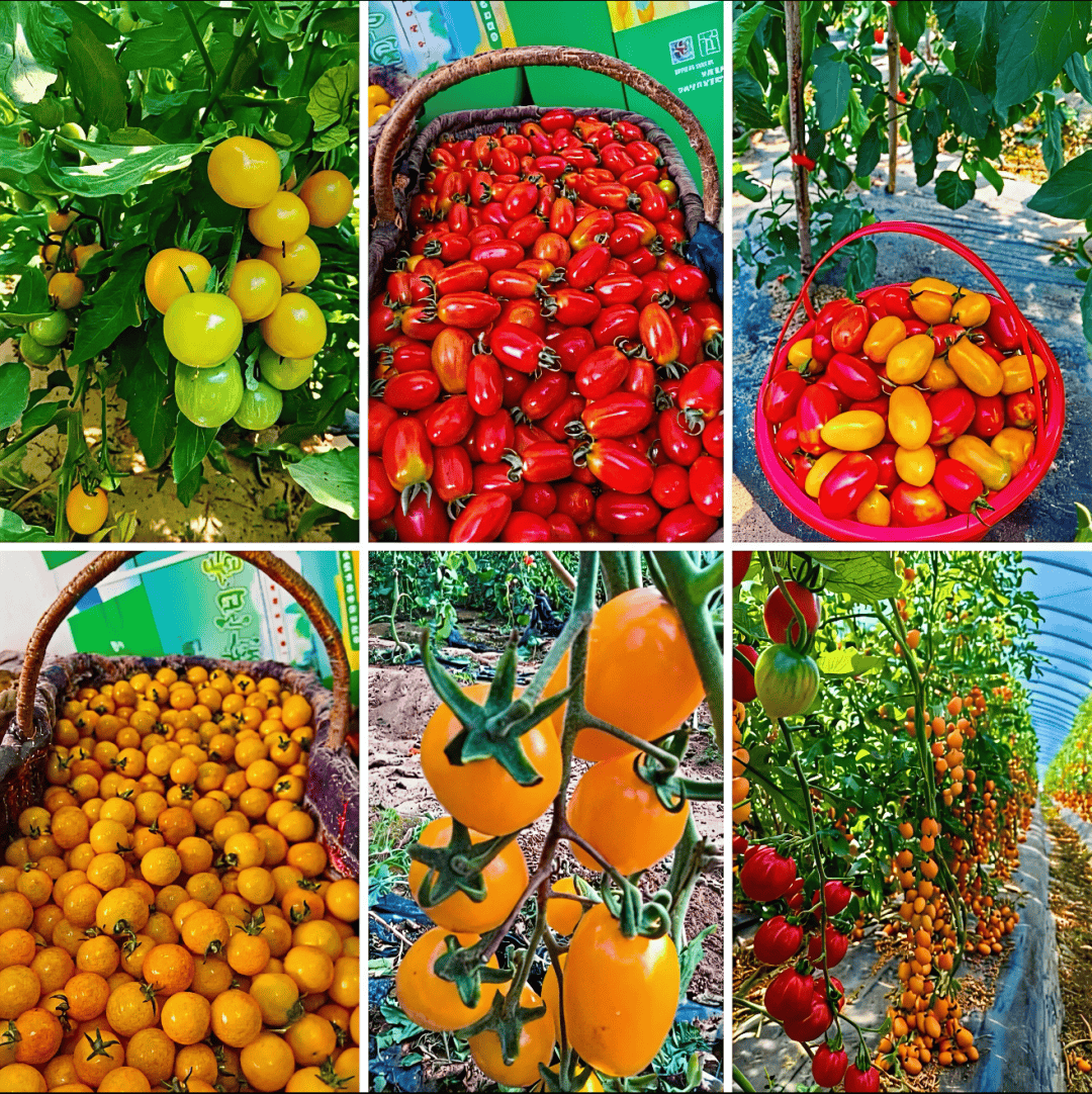 Ram Kali tweet media