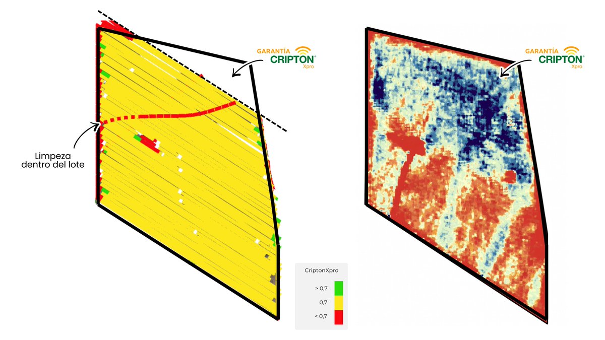 Charly Faricelli tweet media