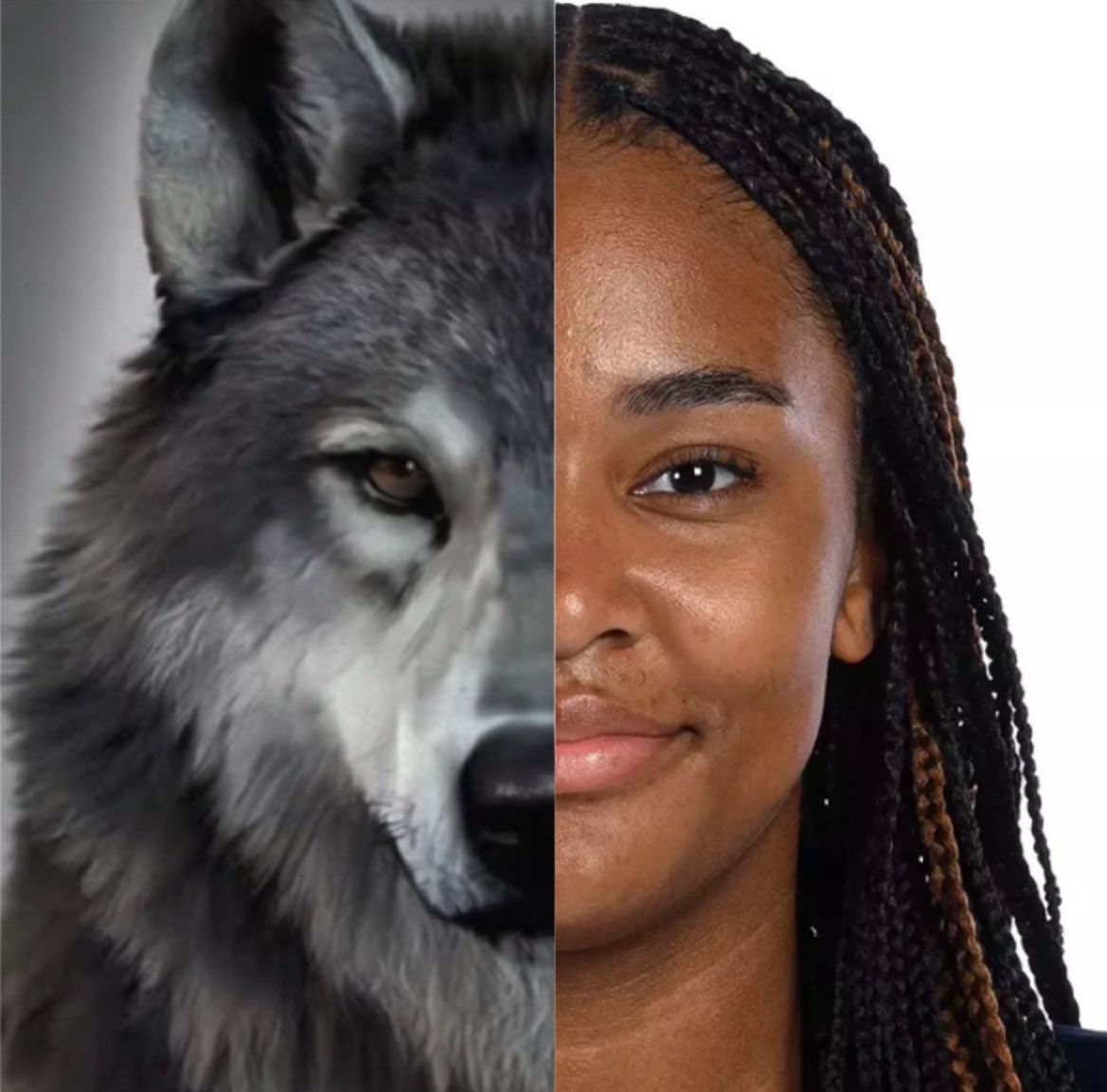 yvette | sarah strong enthusiast tweet media