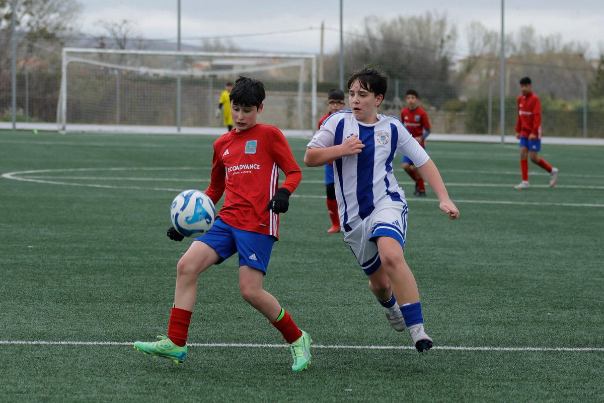 SD. Tarazona Cantera tweet media