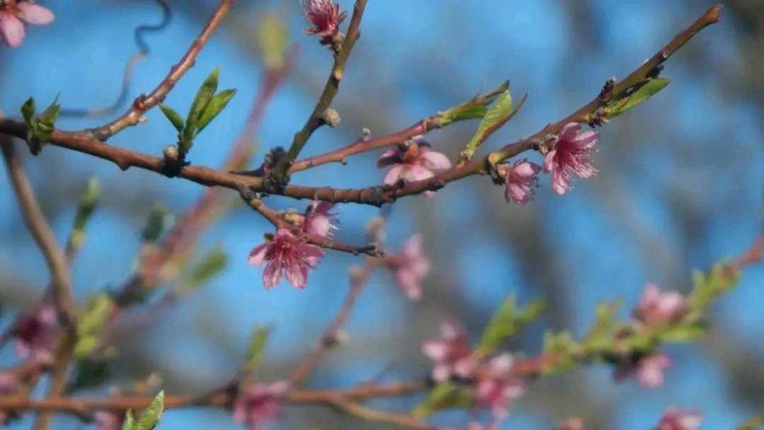 Mayko Ks. 🌞📸🇬🇪🇺🇦🇪🇺 tweet media