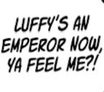 Bear 🇳🇱🇸🇷 tweet media