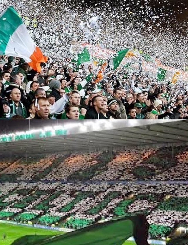 💚🍀🍀💚🍀💚🍀💚🍀💚🍀💚