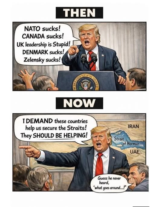 Fred Schiphorst tweet media