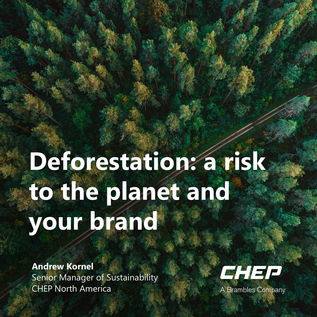 CHEP North America tweet media