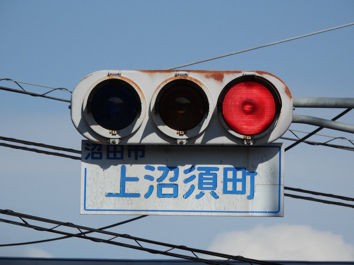 アヤメ tweet media