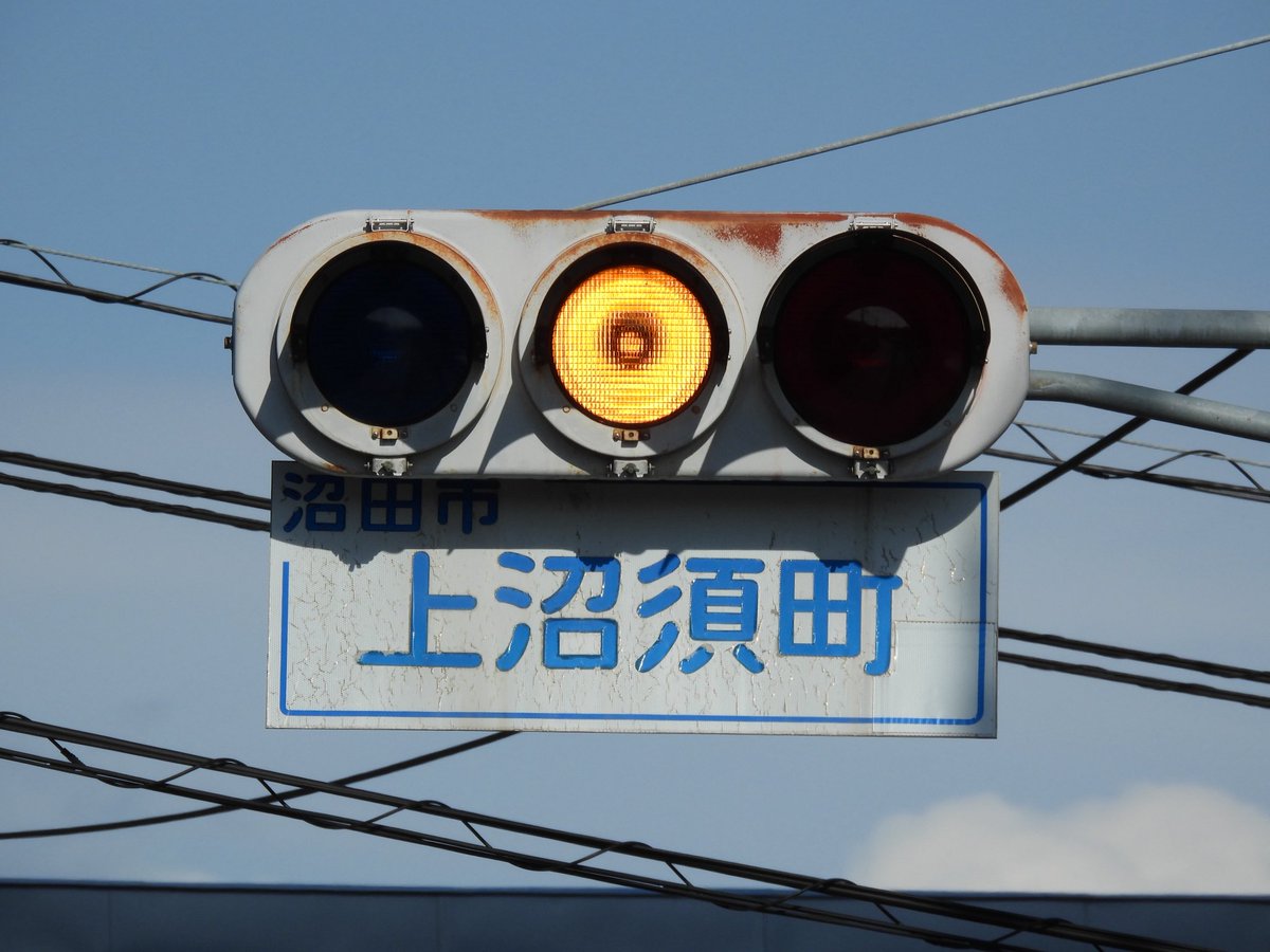 アヤメ tweet media