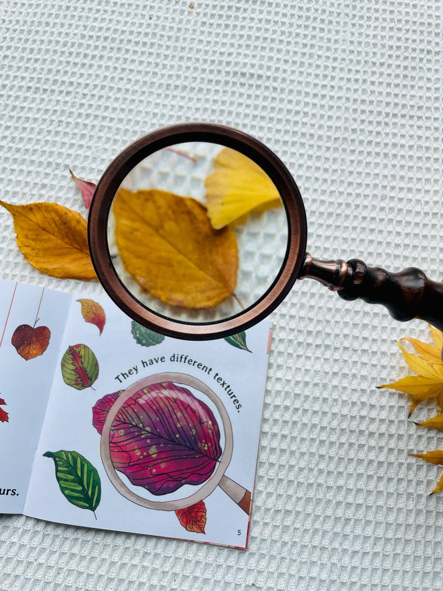 dempanada tweet media