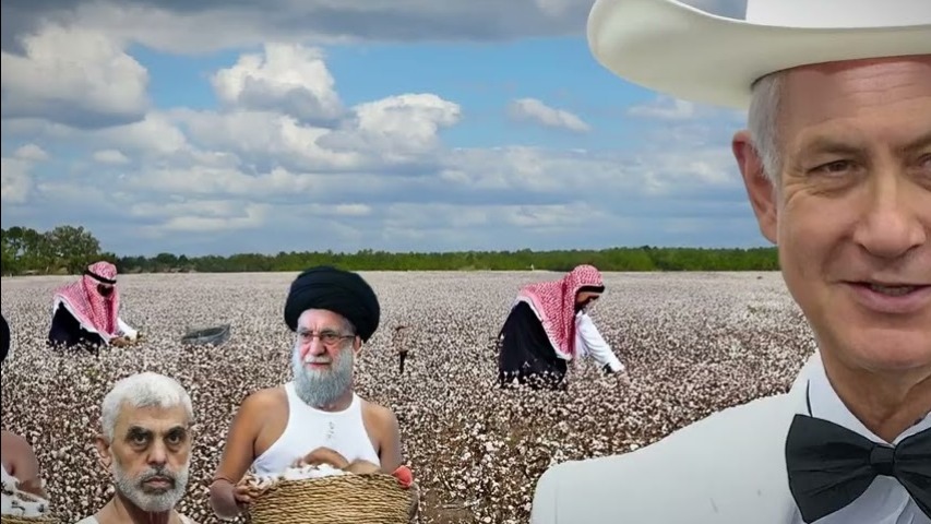 Mwarnism ⳩🇻🇦🇱🇧 tweet media