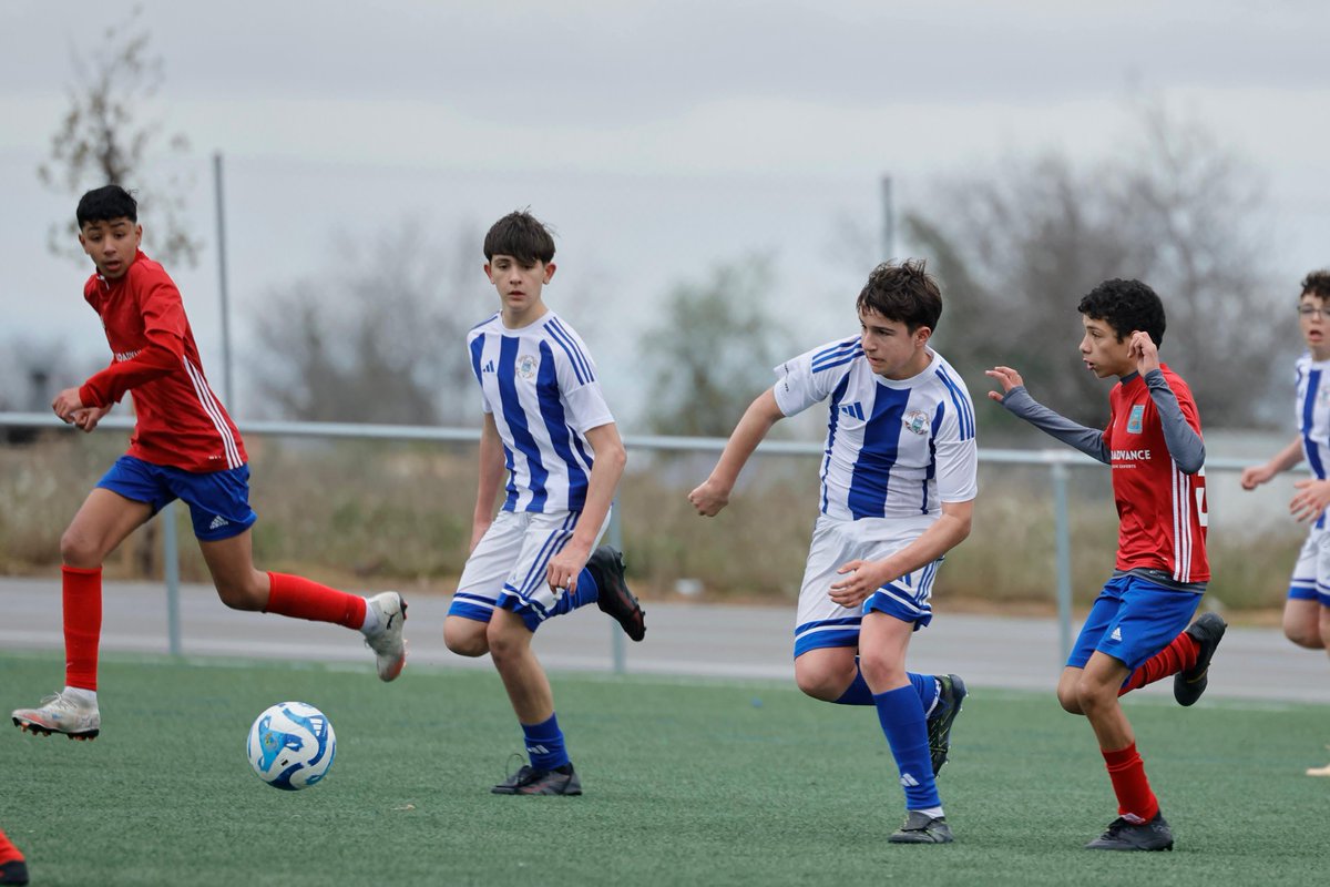 SD. Tarazona Cantera tweet media