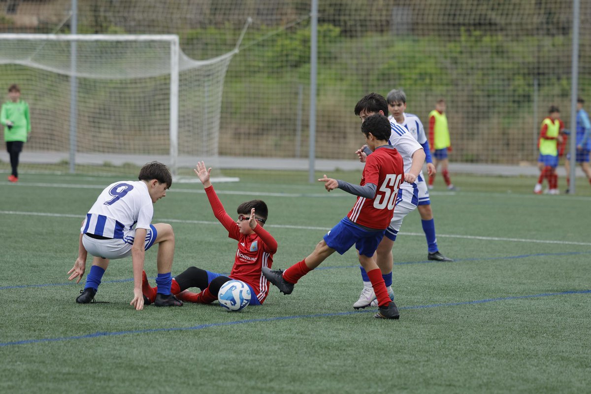 SD. Tarazona Cantera tweet media