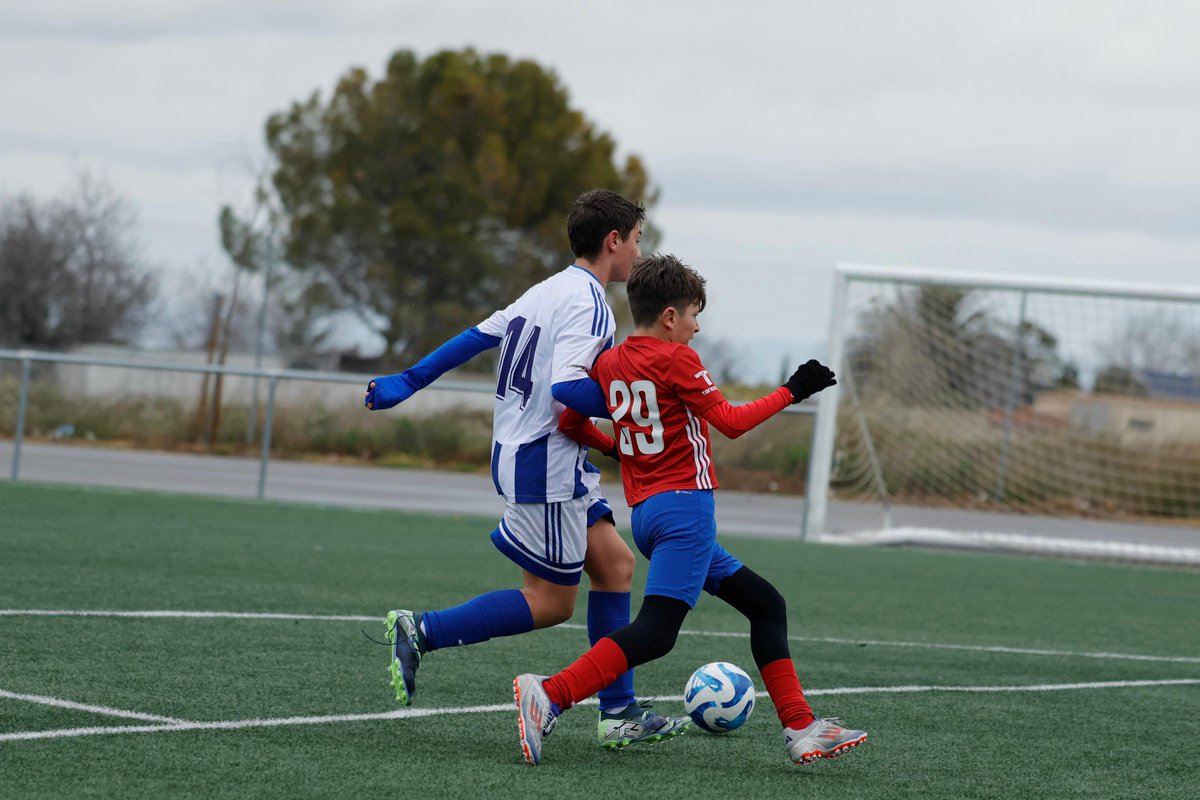 SD. Tarazona Cantera tweet media